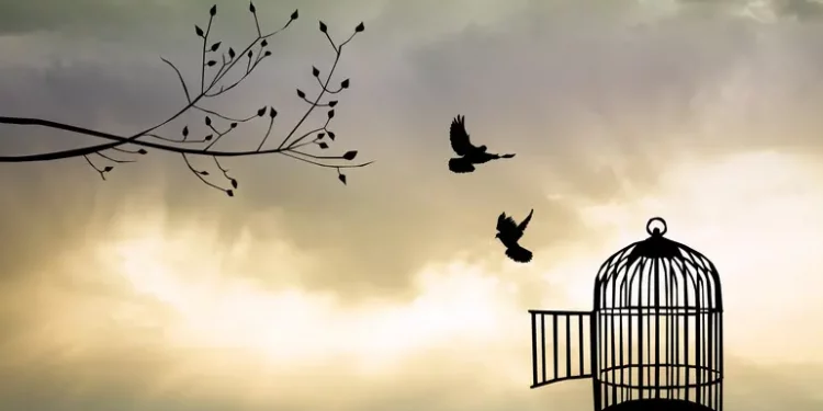 Психическое здоровье во время войны – Какое психологическое состояние у украинцев и как это влияет на экономику – Здоров’я