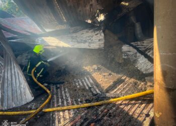 Рятувальники розповіли деталі масштабної пожежі на базі відпочинку в Нижній Апші (ФОТО)