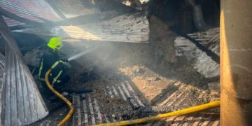 Рятувальники розповіли деталі масштабної пожежі на базі відпочинку в Нижній Апші (ФОТО)