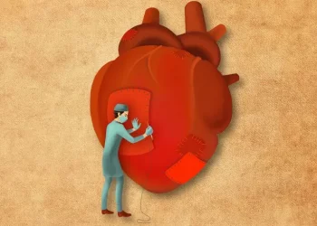 Сердце и система. Почему медицинская реформа буксует и что может ее спасти – Здоров’я