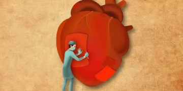 Сердце и система. Почему медицинская реформа буксует и что может ее спасти – Здоров’я