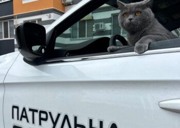 Стрілятимуть без попередження. 12 випадків, коли патрульні в Україні можуть застосувати зброю