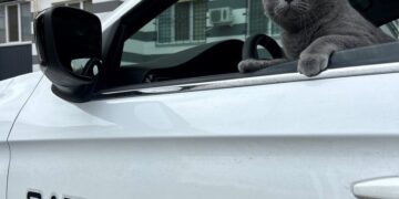 Стрілятимуть без попередження. 12 випадків, коли патрульні в Україні можуть застосувати зброю