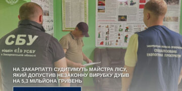 Судитимуть майстра Берегівського надлісництва, який допустив незаконну вирубку дубів на 5,3 мільйона гривень