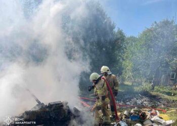 Сусіди допомогли врятувати будинок у Криві під час пожежі (ФОТО)