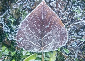 Теплі дні закінчуються. Чого чекати від погоди найближчими днями