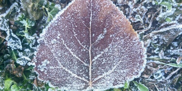 Теплі дні закінчуються. Чого чекати від погоди найближчими днями