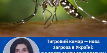 Тигровий комар — нова загроза в Україні: що варто знати закарпатцям?