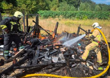 У Чинадійові через займання дровітні ледь не згорів будинок (ФОТО)