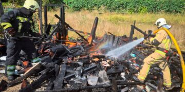 У Чинадійові через займання дровітні ледь не згорів будинок (ФОТО)