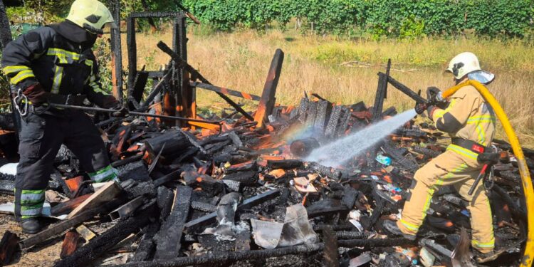 У Чинадійові через займання дровітні ледь не згорів будинок (ФОТО)