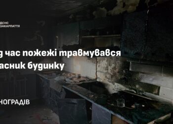 У Виноградові під час пожежі постраждав власник будинку