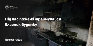 У Виноградові під час пожежі постраждав власник будинку