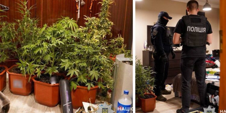 В Ужгороді поліція знешкодила угруповання наркоторговців (ФОТО)