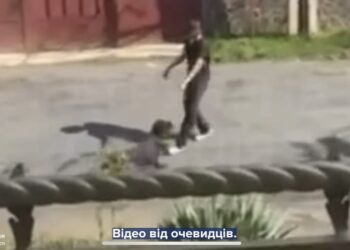 В Ужгороді вилучили собаку через жорстоке поводження