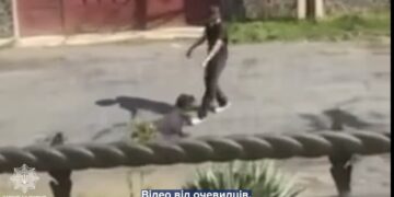 В Ужгороді вилучили собаку через жорстоке поводження