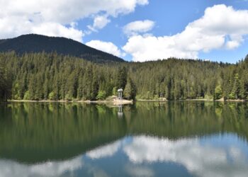 Вхід вільний: нацпарки Закарпаття влаштовують День відкритих дверей –