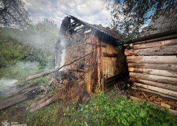 За секунди до трагедії: на Закарпатті рятувальники витягли з вогню дитину (ФОТО) –