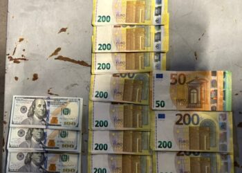 Закарпатські митники вилучили незадекларовану валюту на понад 1 млн грн (ФОТО)