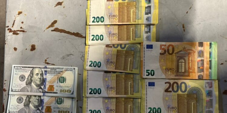 Закарпатські митники вилучили незадекларовану валюту на понад 1 млн грн (ФОТО)
