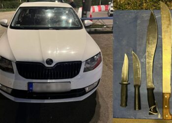 Закарпатські прикордонники вилучили в угорця ножі та мачете (ФОТО)