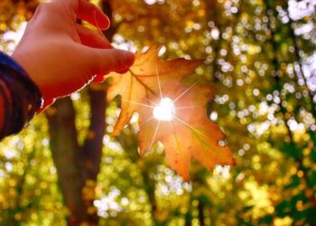 Закарпаття чекають теплі та сухі вихідні