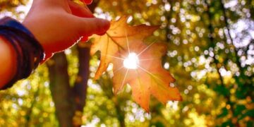 Закарпаття чекають теплі та сухі вихідні