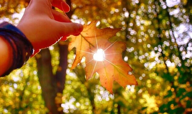 Закарпаття чекають теплі та сухі вихідні