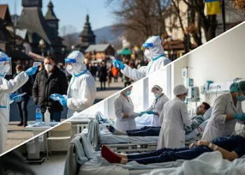 Закарпаття: у Хустському районі оголосили надзвичайну біологічну ситуацію –