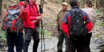 Рідні забили на сполох: чоловік заблукав у лісі, збираючи гриби — Закарпаття