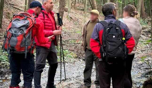 Рідні забили на сполох: чоловік заблукав у лісі, збираючи гриби — Закарпаття