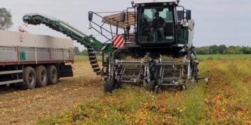 Італійці створили комбайн, що збирає 110 тонн томатів на годину – Техніка