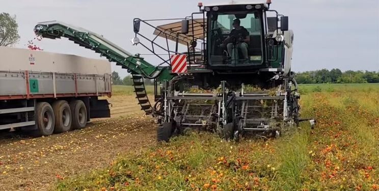 Італійці створили комбайн, що збирає 110 тонн томатів на годину – Техніка