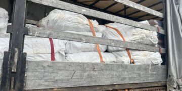 Митники повідомили про випадок на кордоні зі Словаччиною — Закарпаття