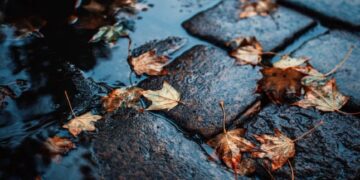 Частину області накриє осіння негода: чи довго дощитиме — Закарпаття