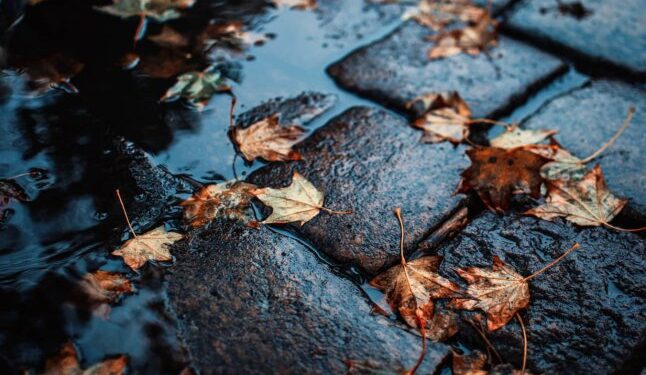 Частину області накриє осіння негода: чи довго дощитиме — Закарпаття