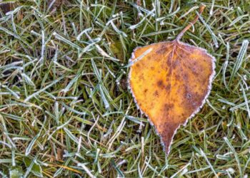 В області оголошено штормове попередження через заморозки, які насуваються — Закарпаття