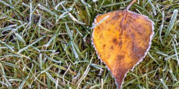 В області оголошено штормове попередження через заморозки, які насуваються — Закарпаття