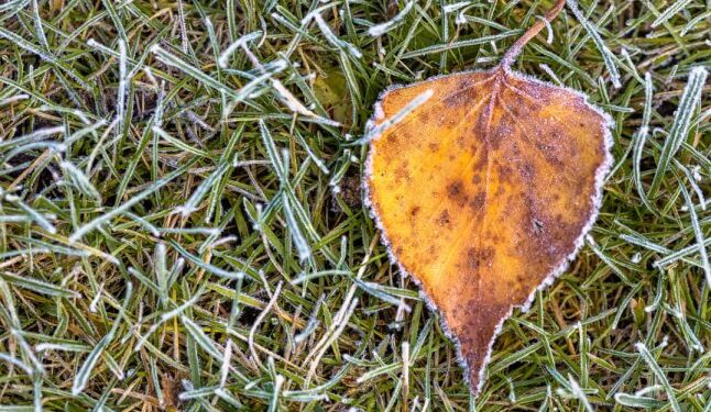 В області оголошено штормове попередження через заморозки, які насуваються — Закарпаття
