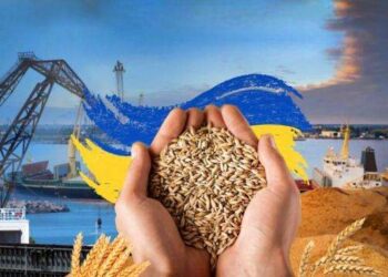 Більше шансів для аграріїв: з 29 жовтня ЄС збільшив обсяг квот на українську аграрну продукцію –