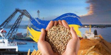 Більше шансів для аграріїв: з 29 жовтня ЄС збільшив обсяг квот на українську аграрну продукцію –