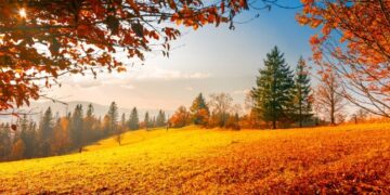 Чи довгим буде потепління, яке анонсували синоптики найближчими днями — Закарпаття