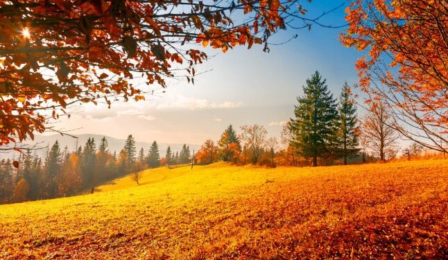 Чи довгим буде потепління, яке анонсували синоптики найближчими днями — Закарпаття