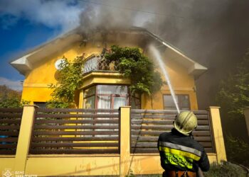Через камін ледь не згорів будинок: рятувальники в Ужгороді понад 7 годин гасили масштабне займання (ФОТО) –