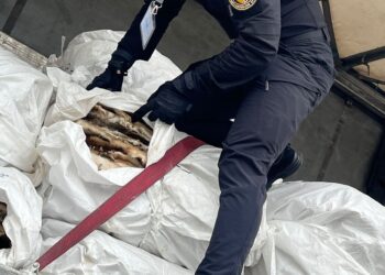 Через митний пост «Ужгород» намагалися незаконно ввезти хутра на майже $100 тисяч (ФОТО)