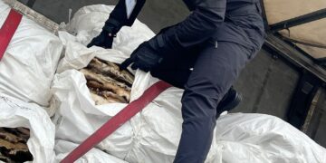 Через митний пост «Ужгород» намагалися незаконно ввезти хутра на майже $100 тисяч (ФОТО)