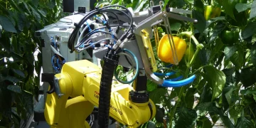 Європейці створюють розумних збирачів ягід замість тракторів – Техніка