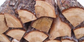 Економіка: Дрова в Німеччині зараз дешевші, ніж в Україні. Козицький розповів про парадокси ринку