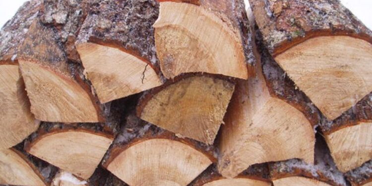 Економіка: Дрова в Німеччині зараз дешевші, ніж в Україні. Козицький розповів про парадокси ринку