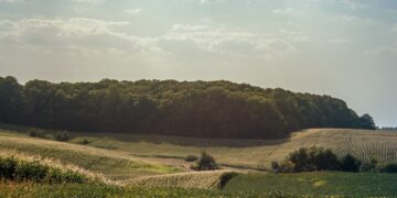 Економіка: Турецька компанія продала на Львівщині 3,5 тис. га землі. Хто купив